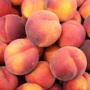 Dixieland Peach Tree. Freestone. Very large. A favorite. Sweet and very juicy. Grows great throughout the southeast. 750 chill hours. Zones 5-8.