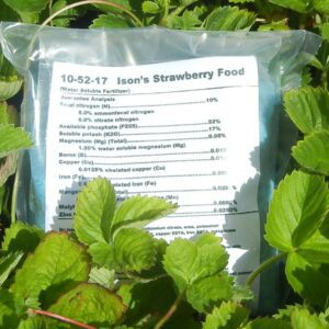 Strawberry Fertilizer