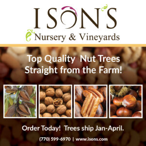 Ison’s Nursery & Vineyard | The Most Trusted Name in Muscadines